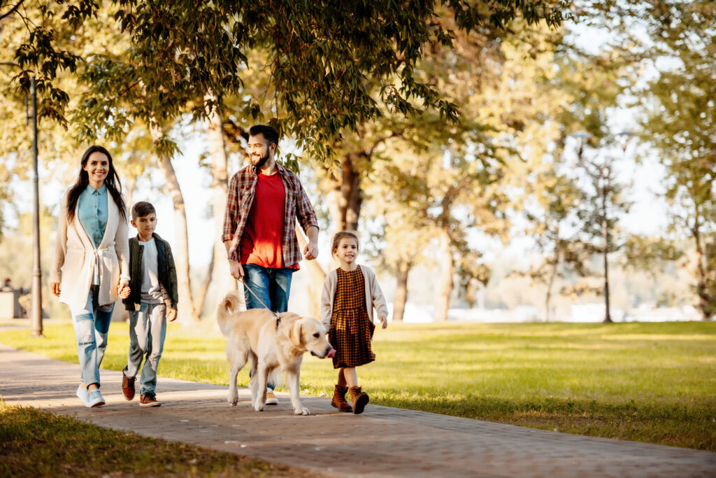 Dog Friendly Parks in Clyde
